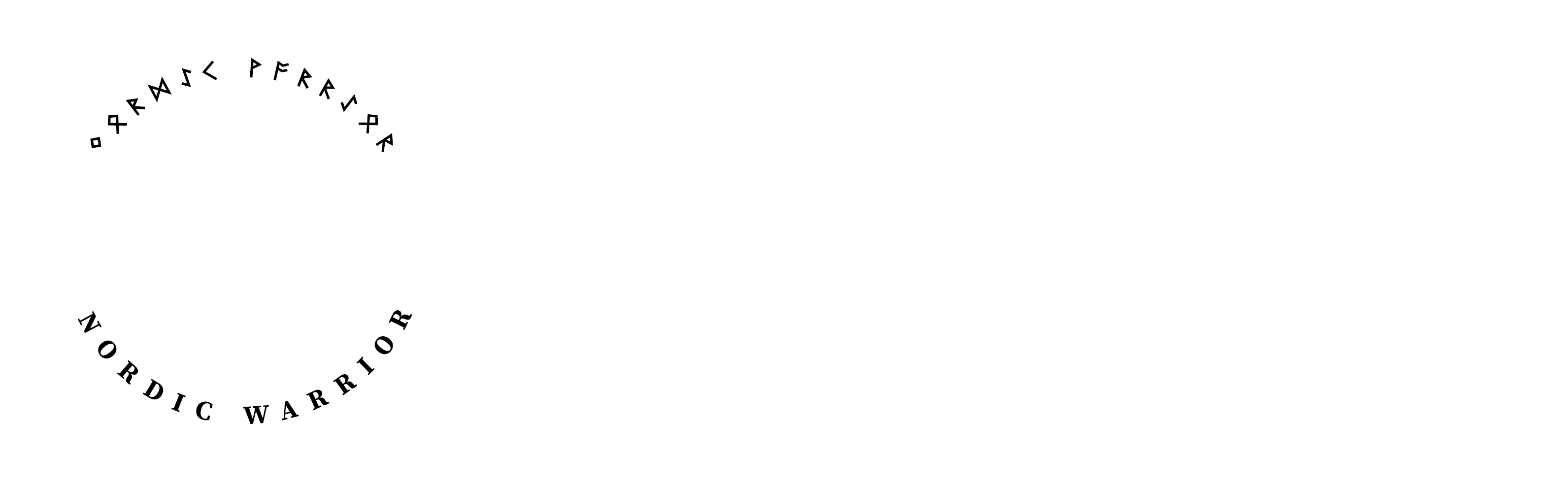 NORDIC WARRIOR logo